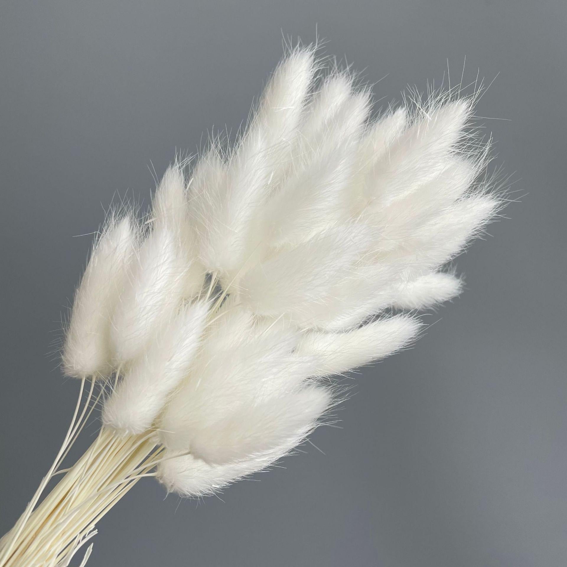 White faux pampas grass set of 2 for boho home decor wedding and photography props

