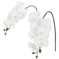 White real touch phalaenopsis orchid branches 34 inch 2pcs for wedding home party bridal shower decor