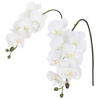 White real touch phalaenopsis orchid branches 34 inch 2pcs for wedding home party bridal shower decor