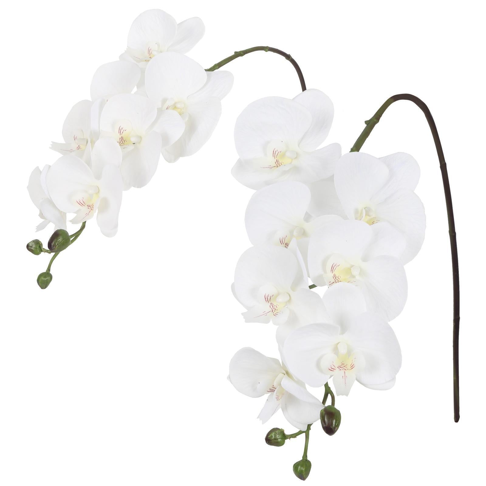 White real touch phalaenopsis orchid branches 34 inch 2pcs for wedding home party bridal shower decor
