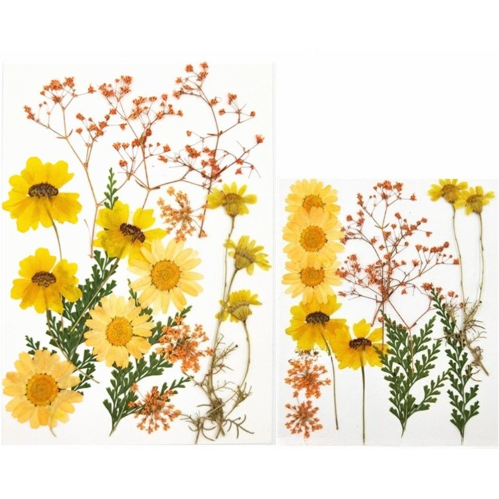 Yellow real natural dried flowers dry leaves for resin molds epoxy jewelry candle soap DIY craft